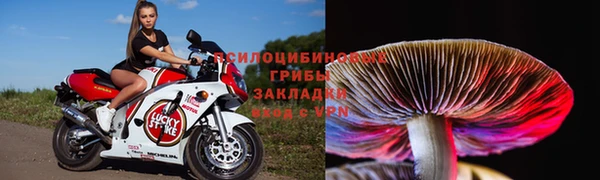 ПСИЛОЦИБИНОВЫЕ ГРИБЫ Снежногорск